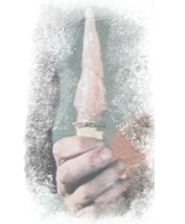 Adamcos